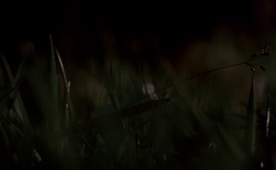 Trailer_Memorias_Postumas_282629.png