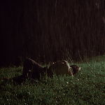 Trailer_Memorias_Postumas_281829.png