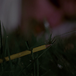 Trailer_Memorias_Postumas_282529.png