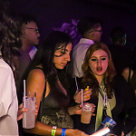 IMG_8530.jpg