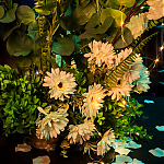 IMG_8804_28129.jpg